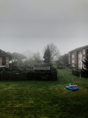 Mosquito control fogging being done in a residential garden at dusk.