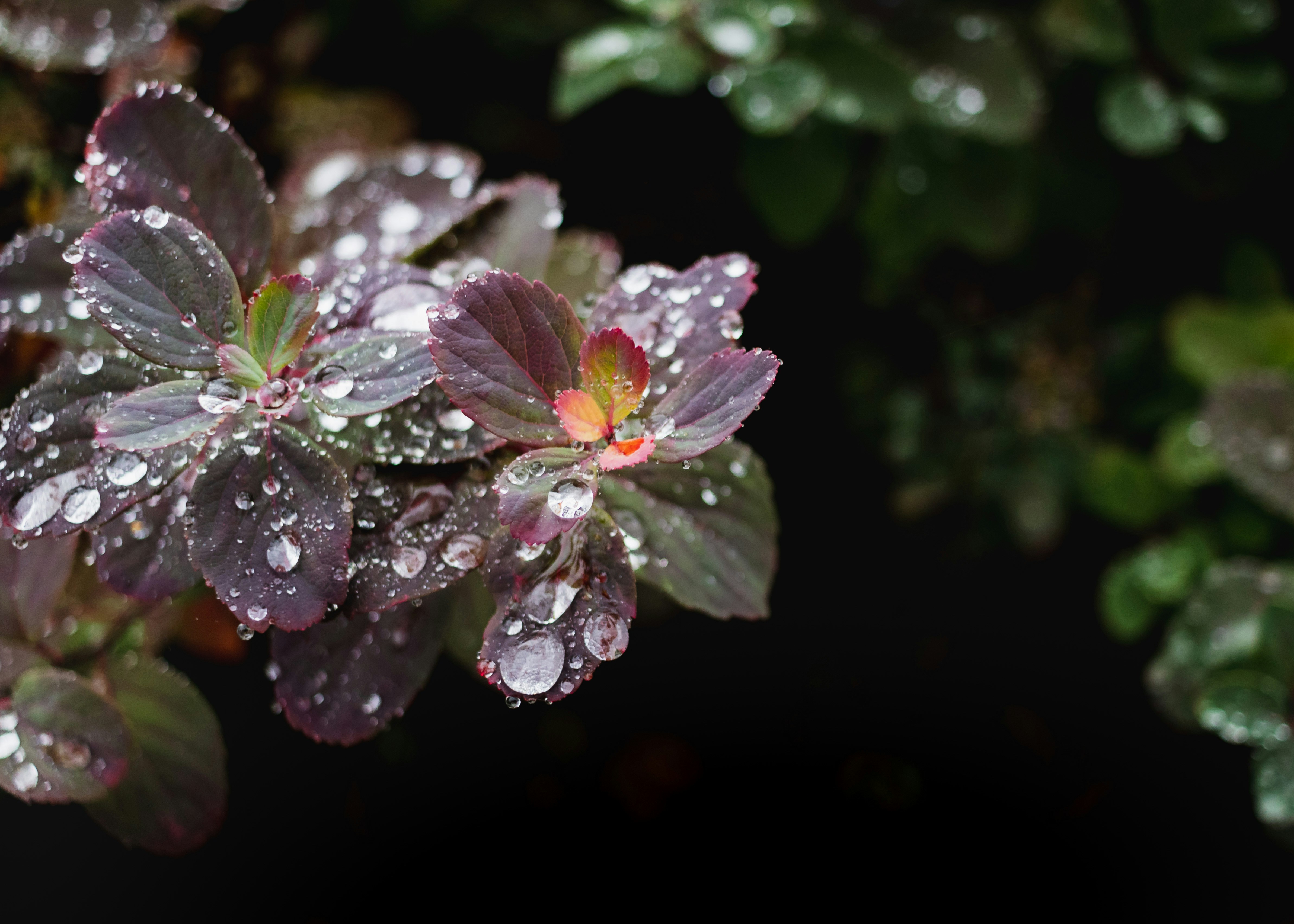 Photo by greg_rosenke