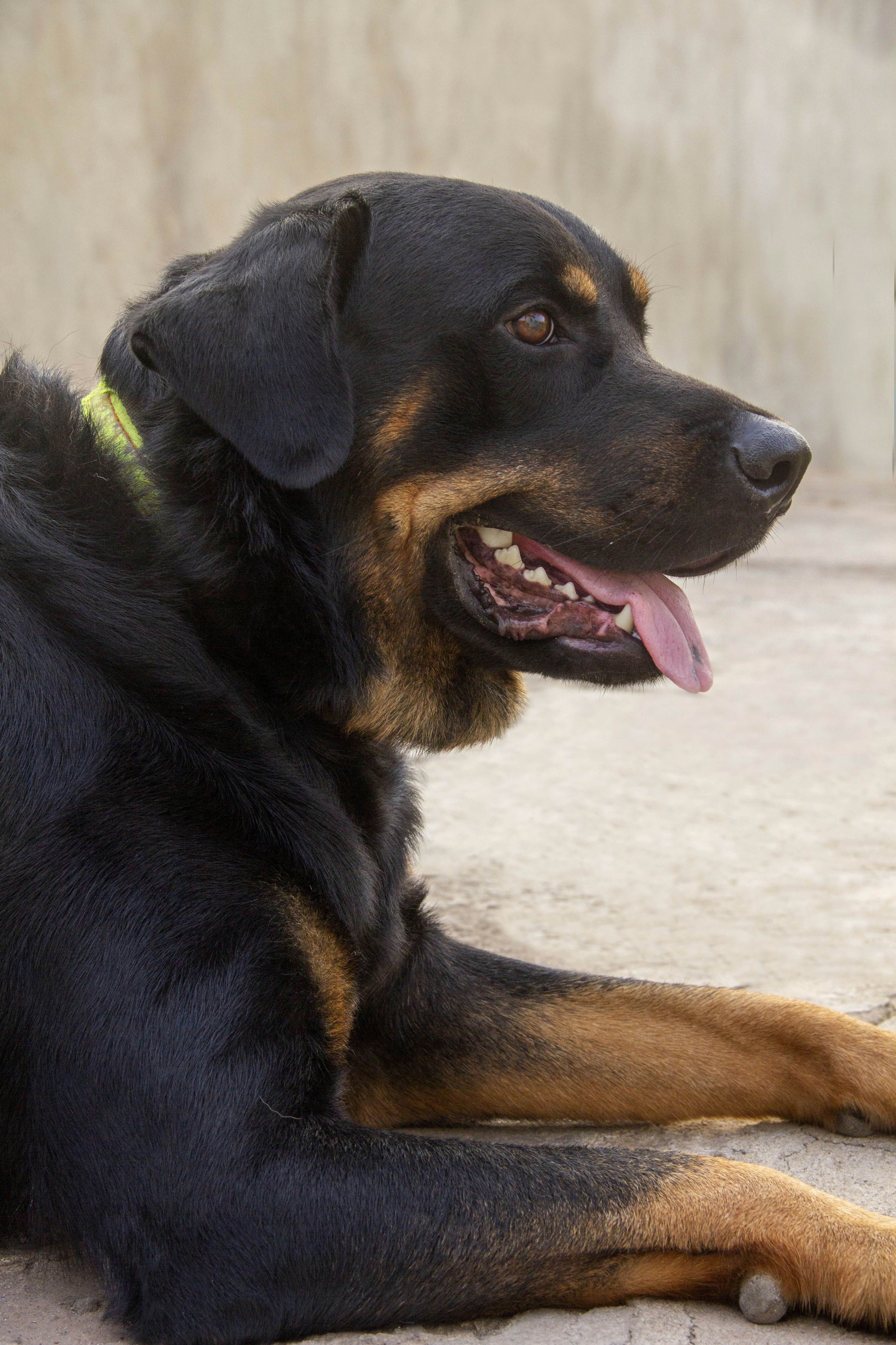 Photo by christopherkester