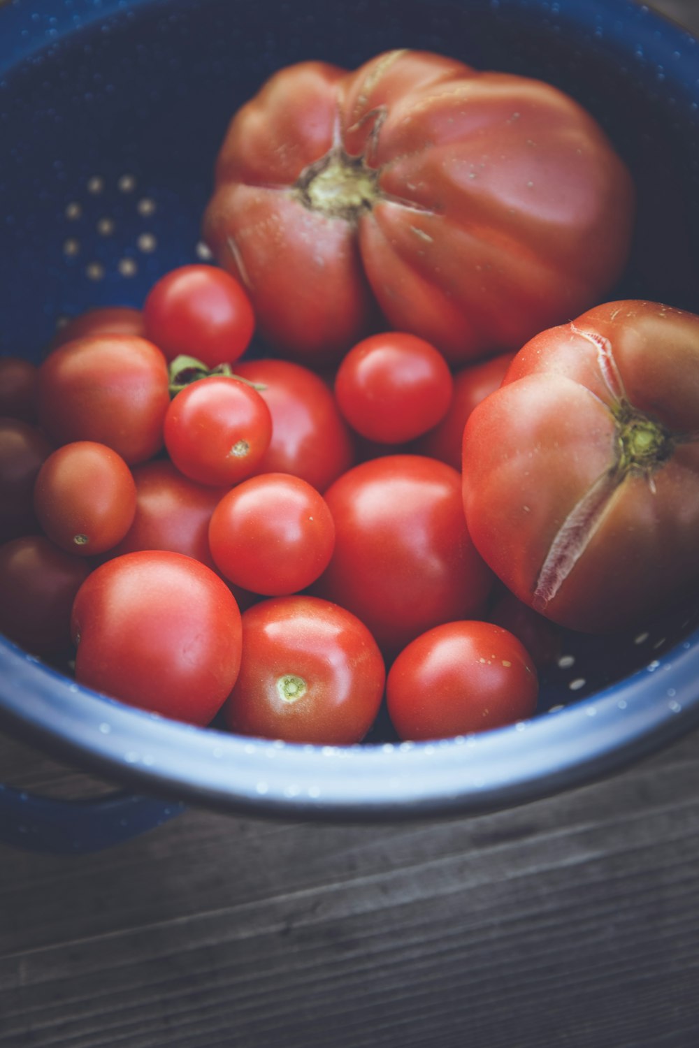 red tomatoes on blue plastic bowl