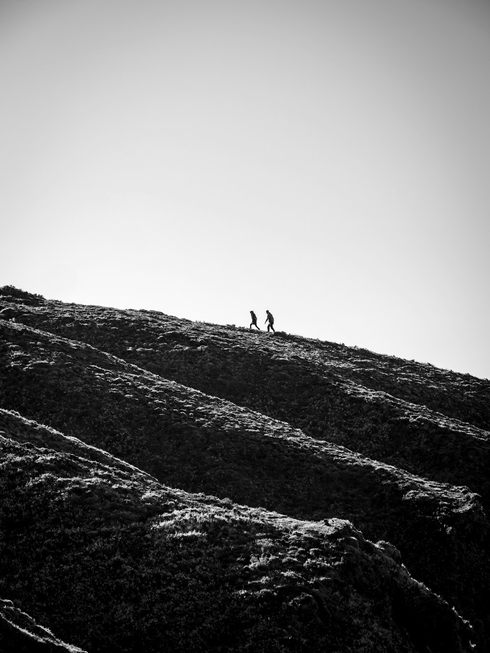 丘の上を歩く人のグレースケール写真