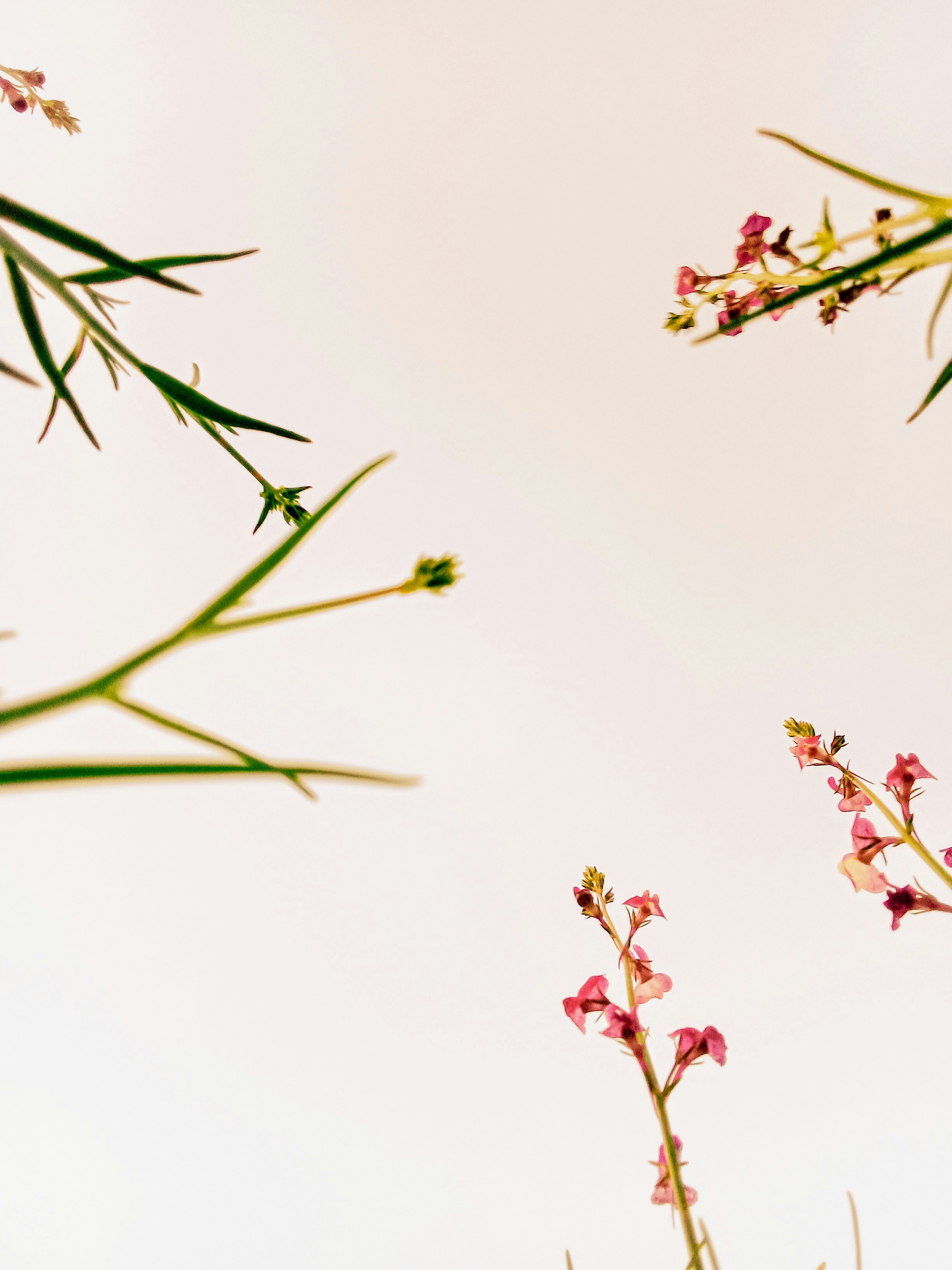 Photo by jasminemcr_7