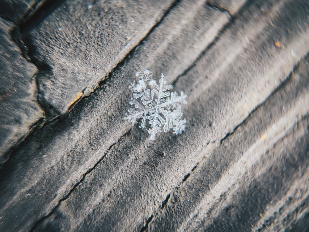 silver snowflake on gray wooden surface