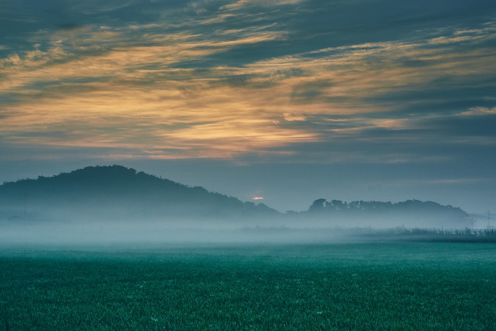 Campo de hierba verde cerca de las montañas durante el día