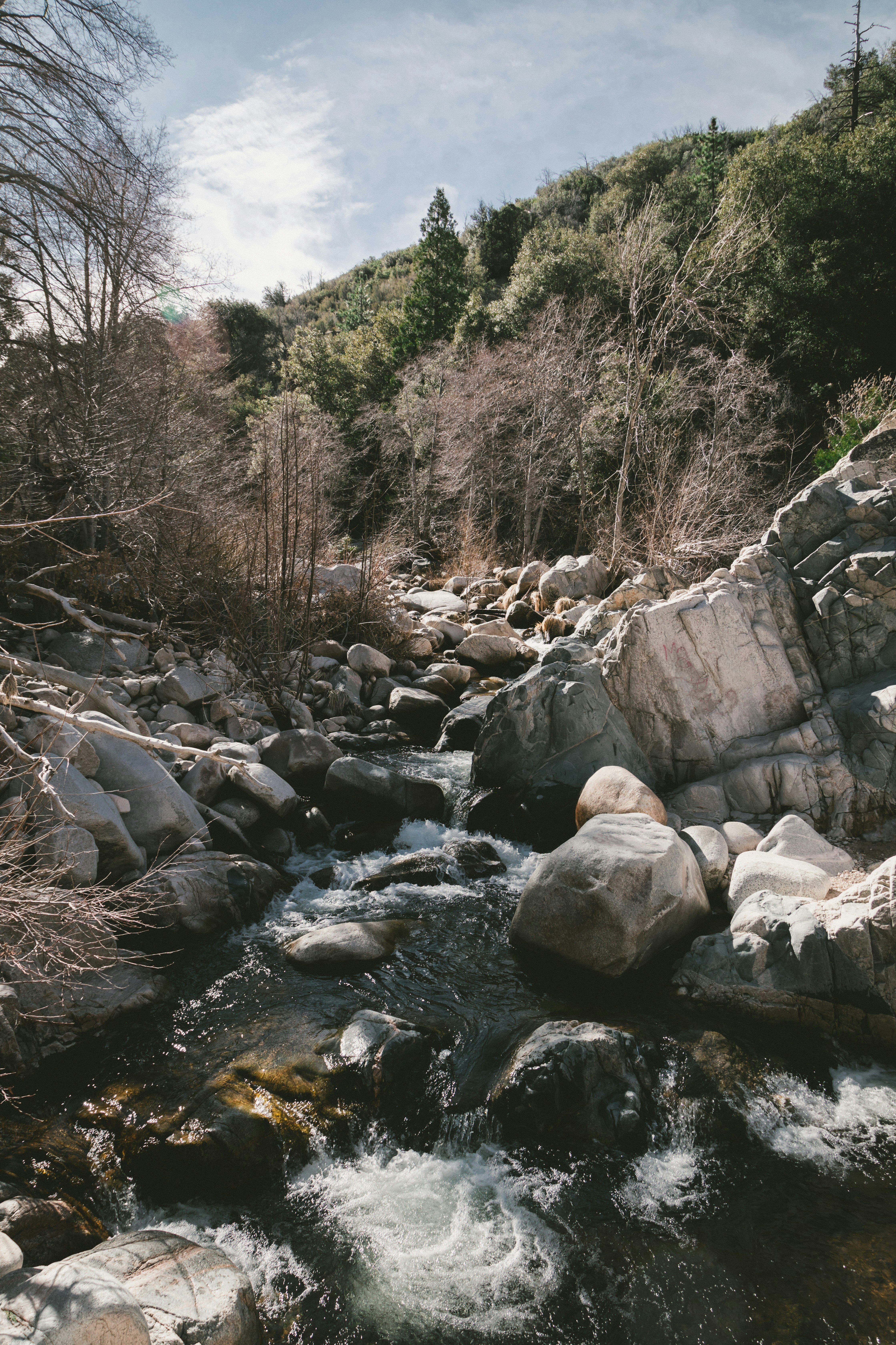 Photo by traviscolbert