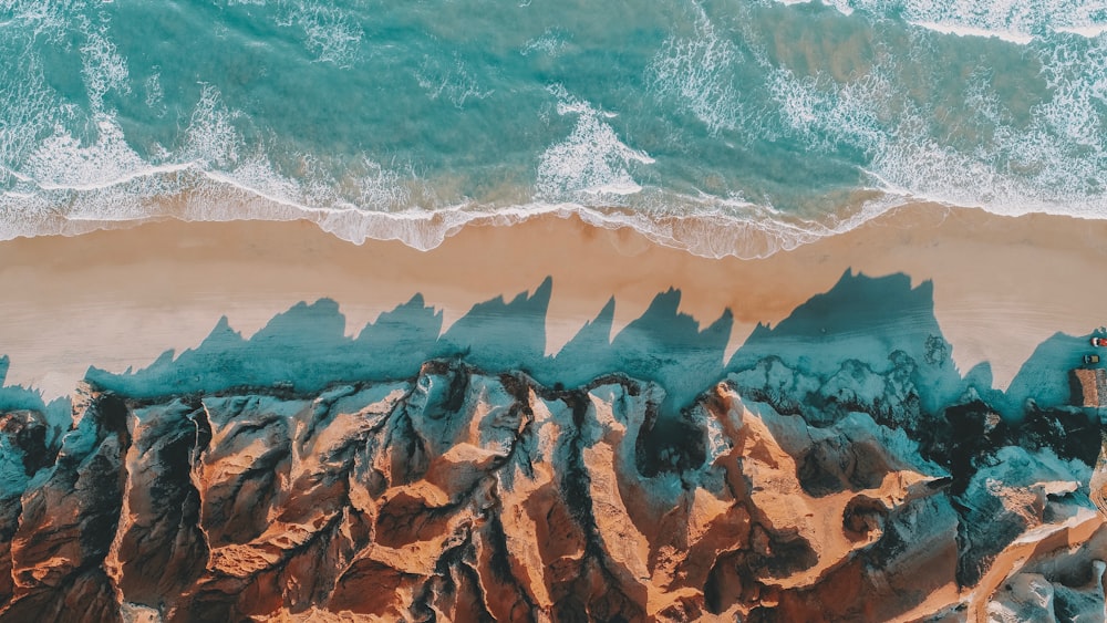 brown rocky shore during daytime