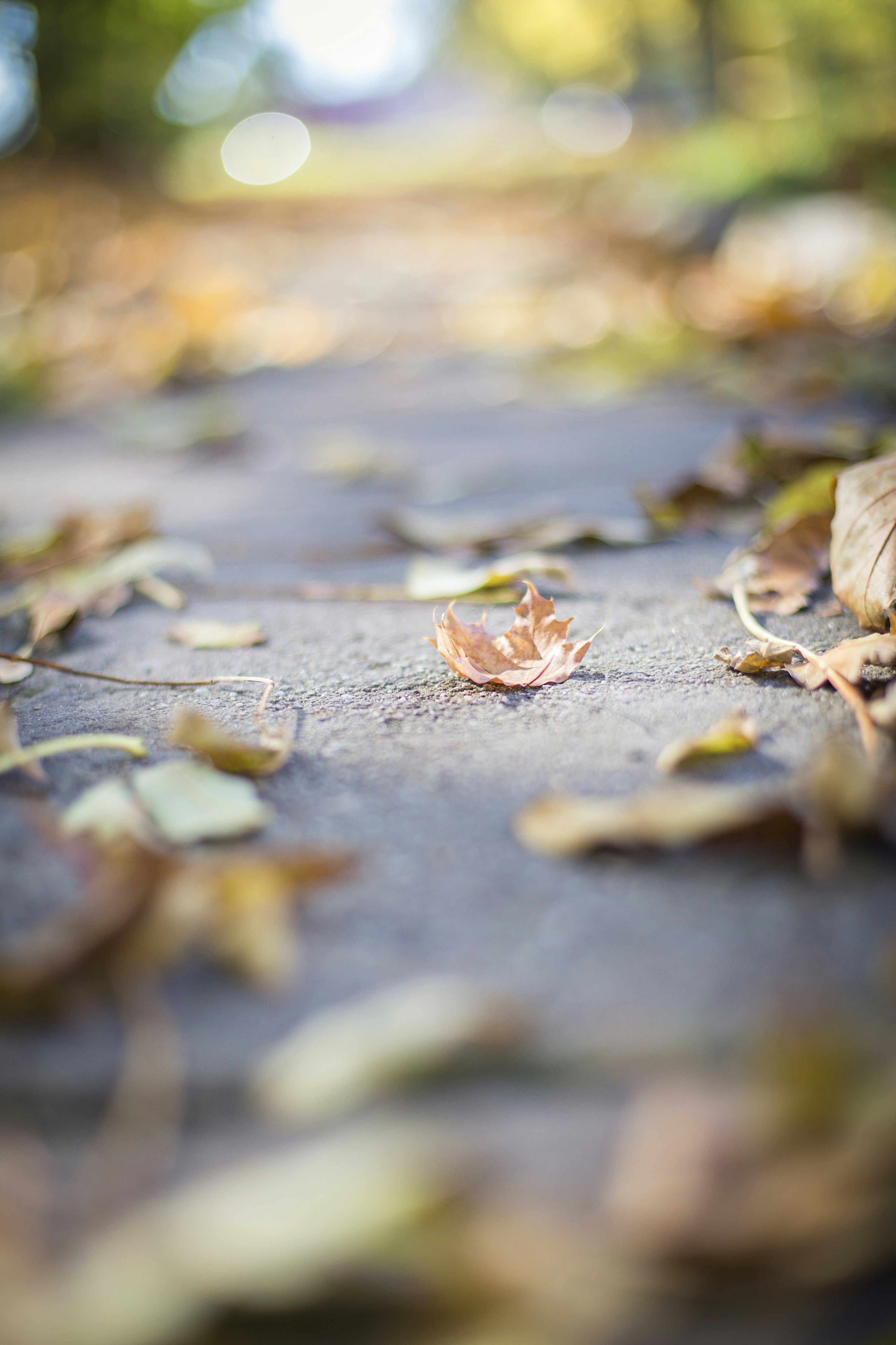 Photo by isaacquesada