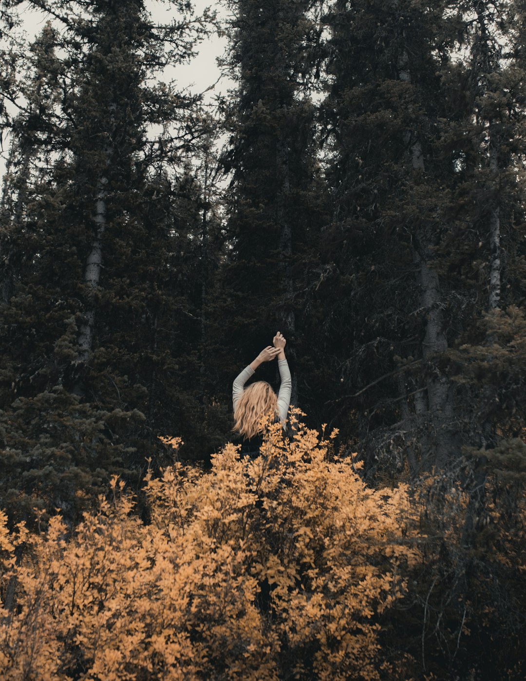 Forest photo spot Kananaskis Banff