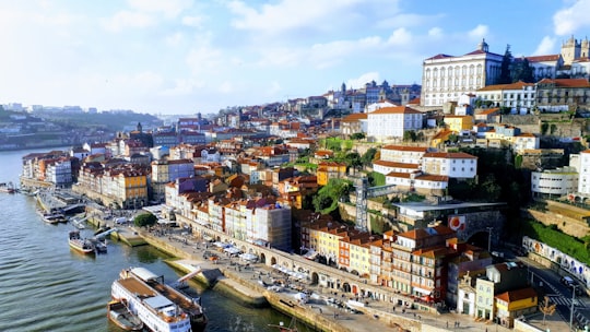 aerial view of city buildings during daytime in Garden of Morro Portugal