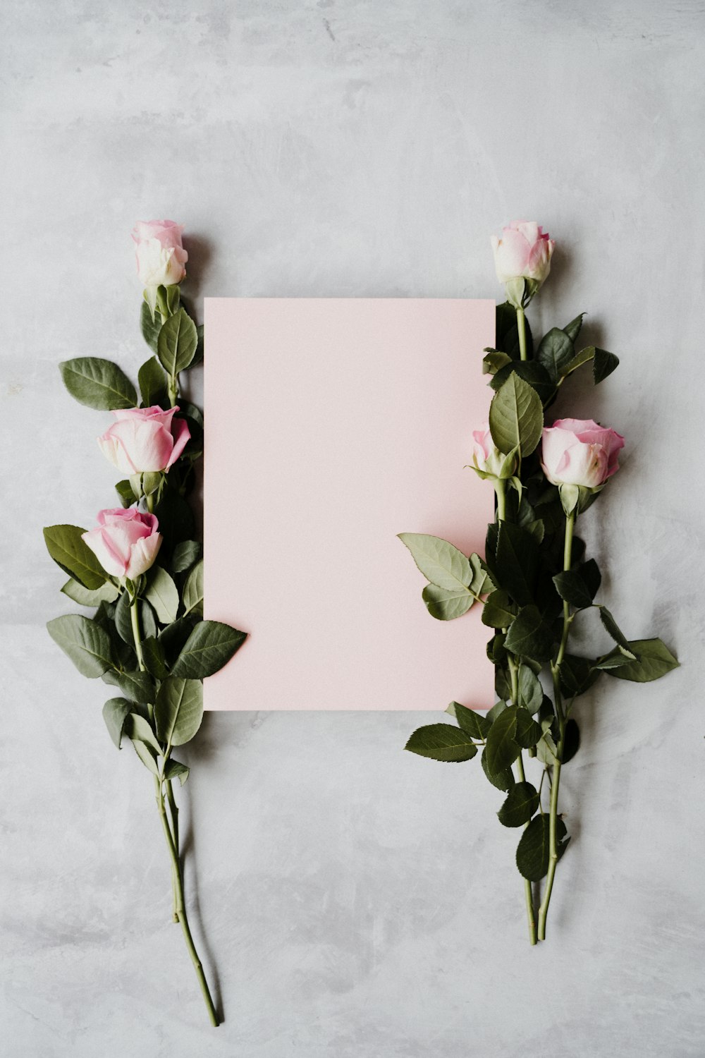 a pink paper with some pink flowers on it