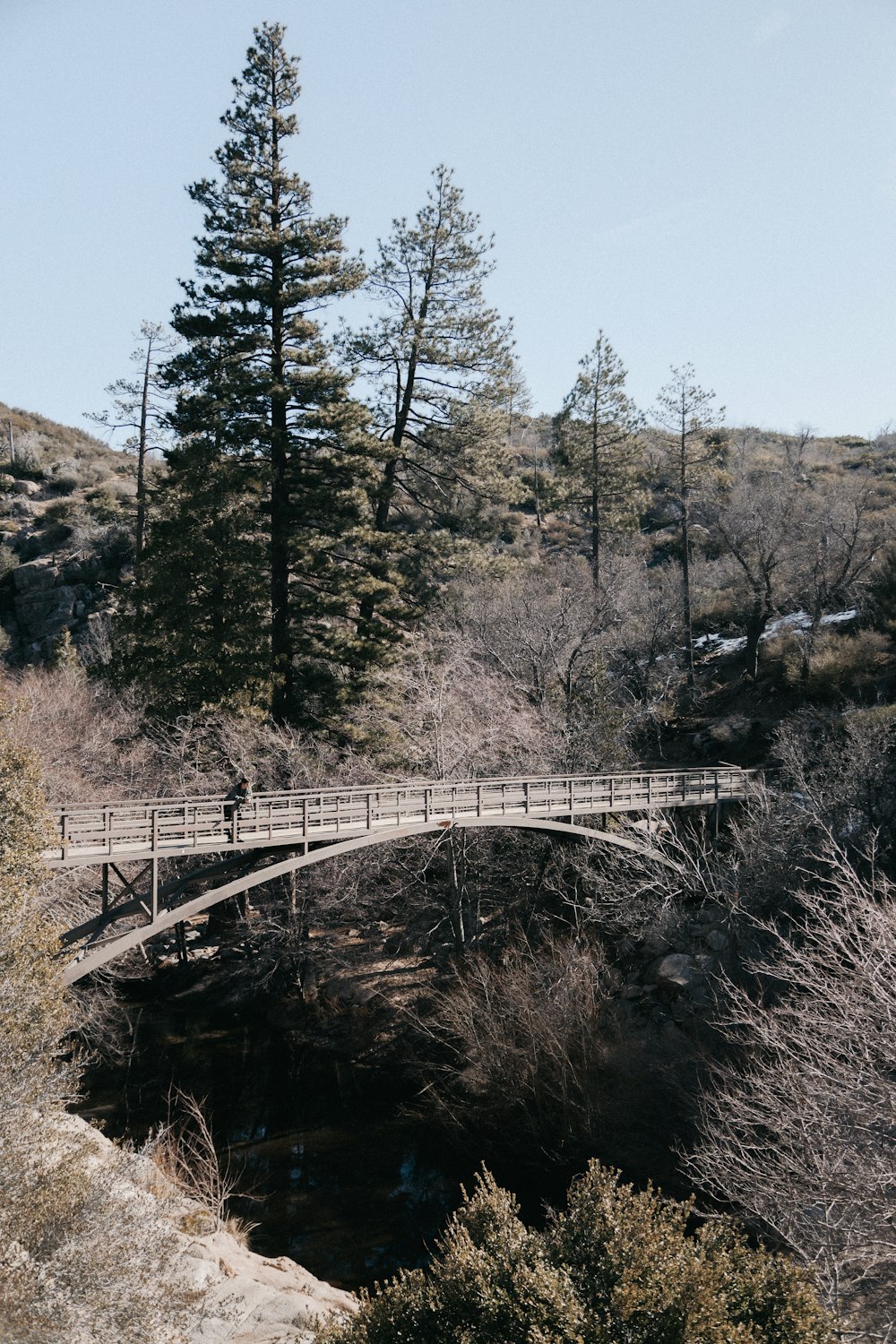 white wooden bridge over river