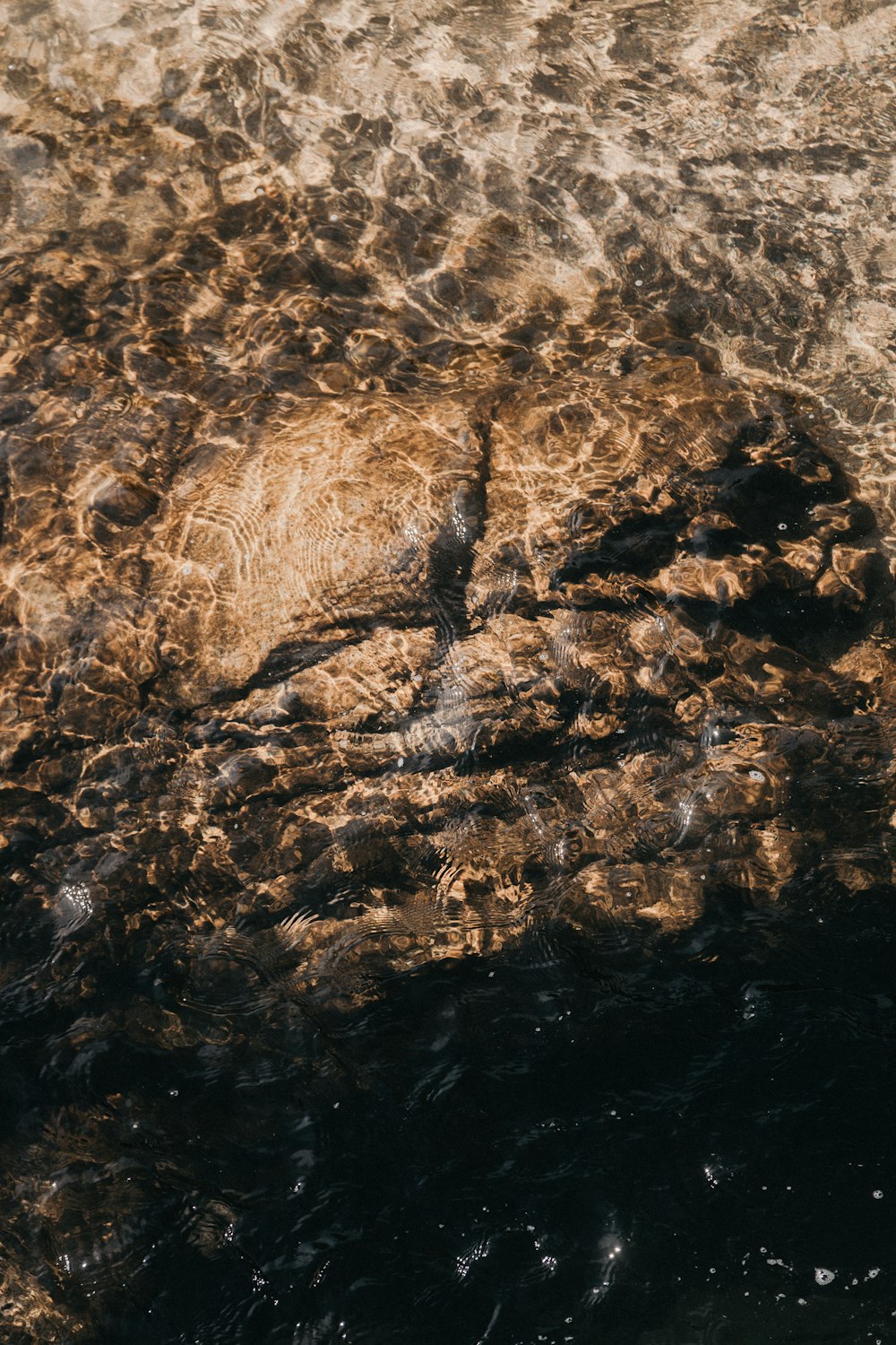 brown and black rock formation