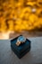 black and gold analog watch on black box