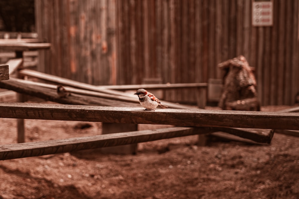 brown wooden fence on brown soil