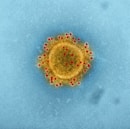 a yellow substance with red dots in it