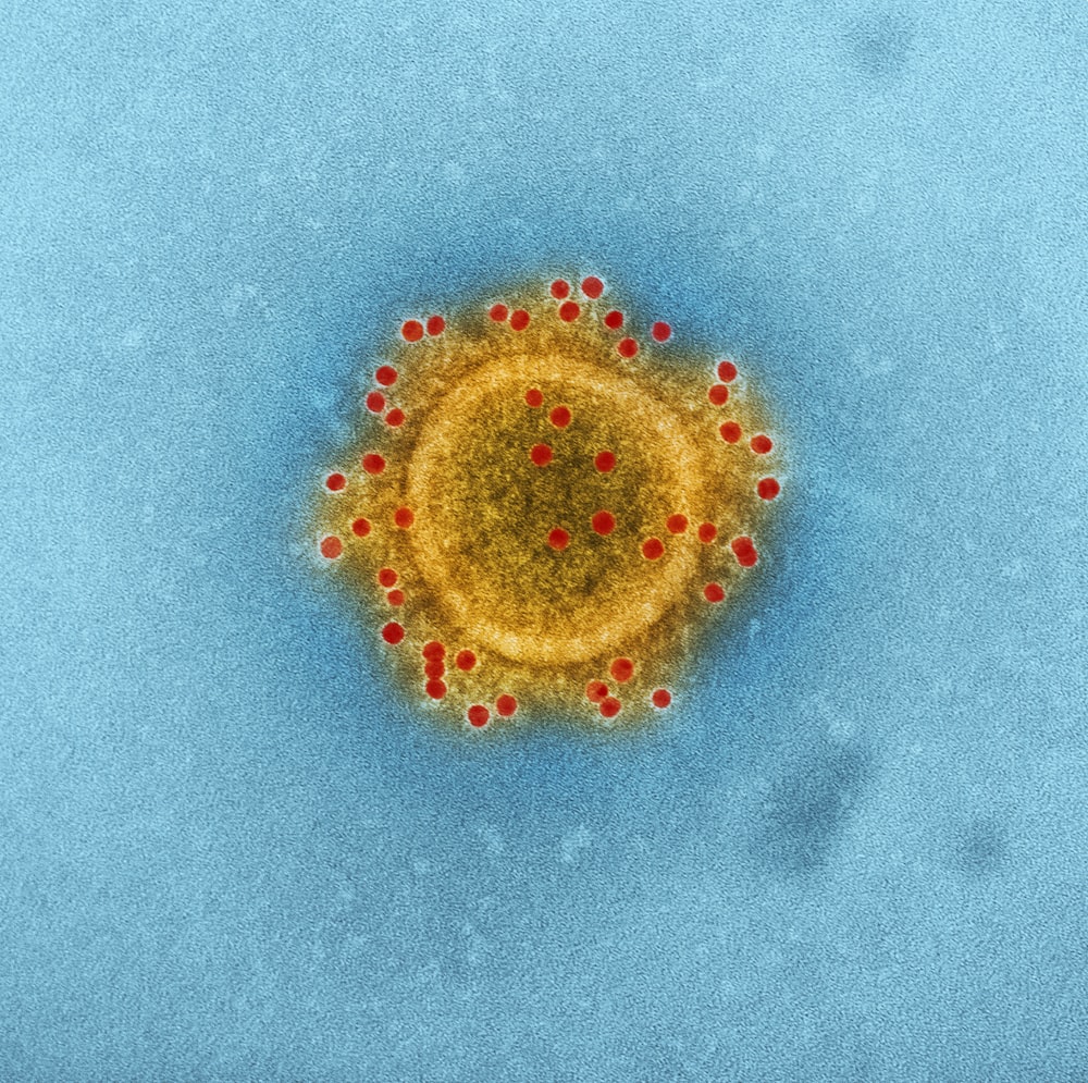 una sustancia amarilla con puntos rojos