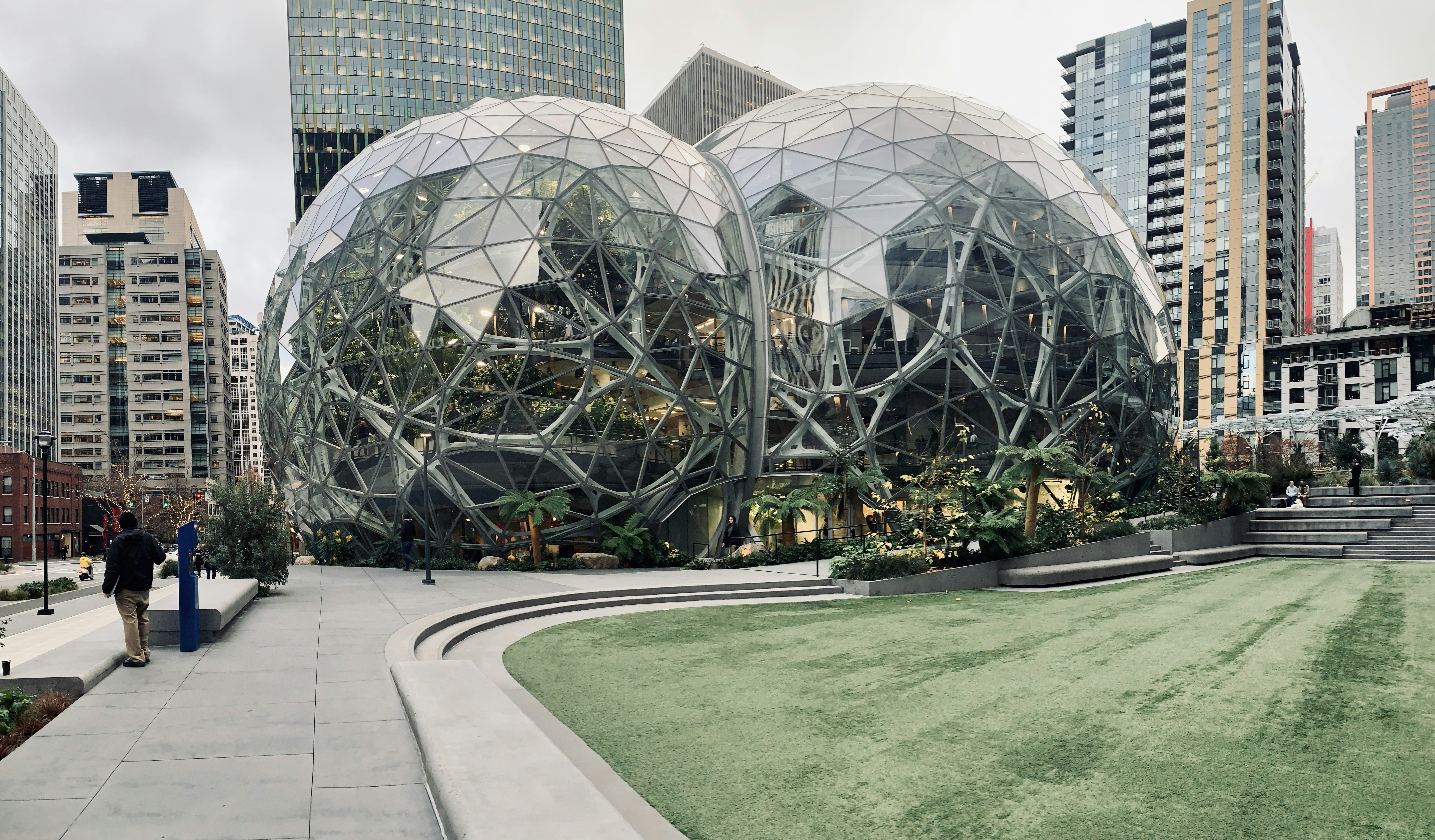 green grass field with trees and plants