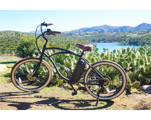 A black electric bicycle with brown seat and handlebars is parked on a dirt path beside a lush cactus garden overlooking a scenic lake. Mountains rise in the background under a clear blue sky, creating a picturesque landscape.