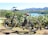 A black electric bicycle with brown seat and handlebars is parked on a dirt path beside a lush cactus garden overlooking a scenic lake. Mountains rise in the background under a clear blue sky, creating a picturesque landscape.
