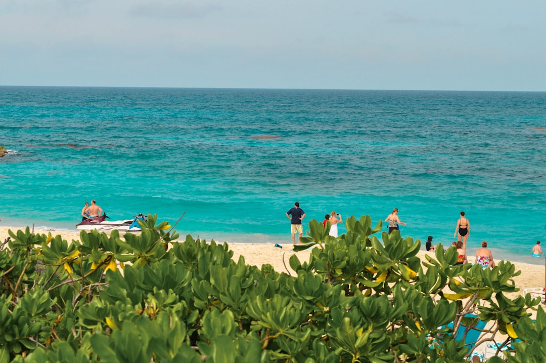 people on beach during daytime