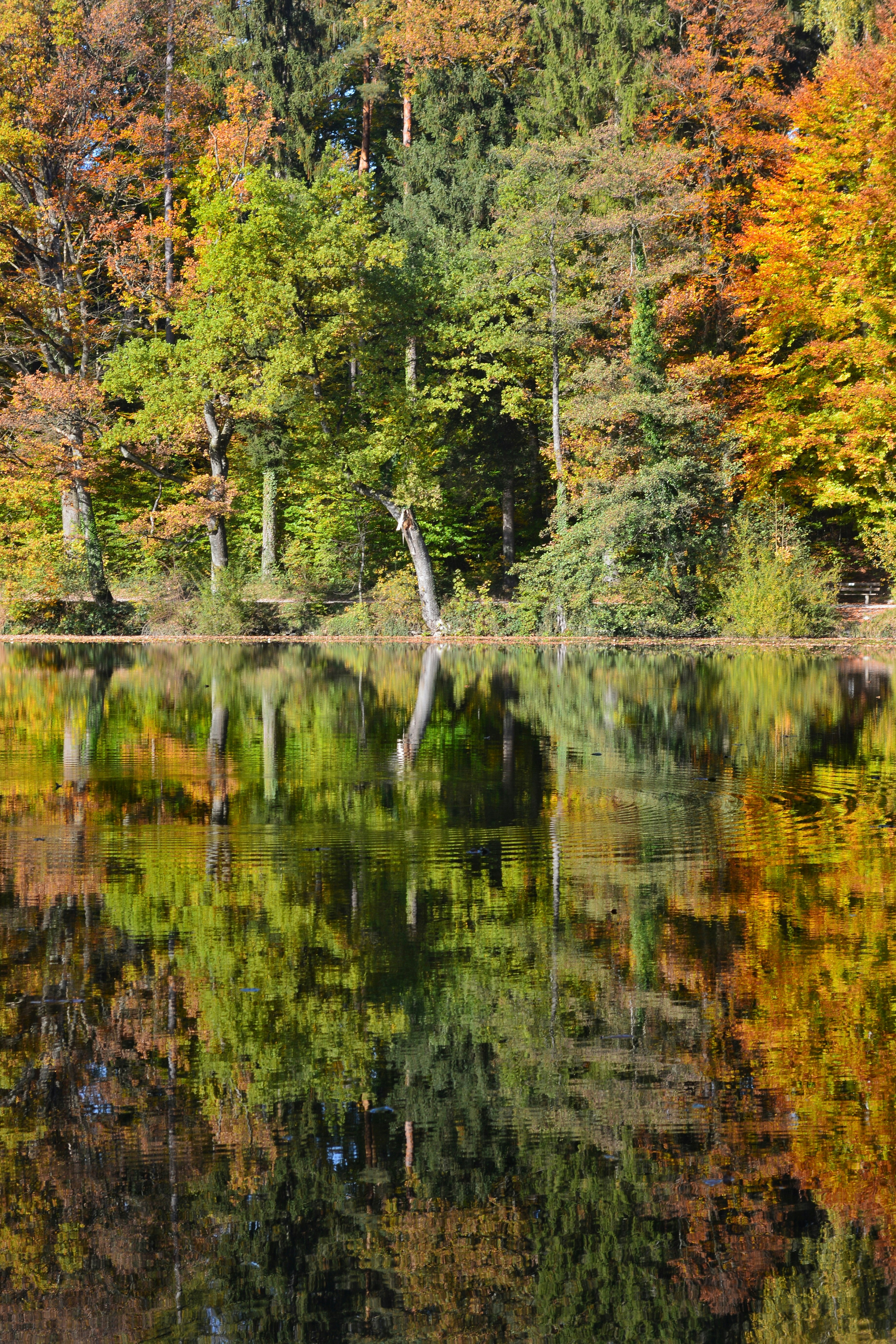 Photo by pedrino5_official