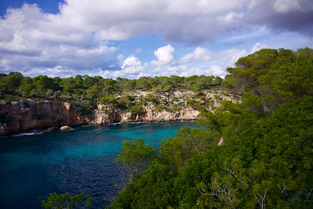 Nature reserve photo spot Mallorca Banyalbufar