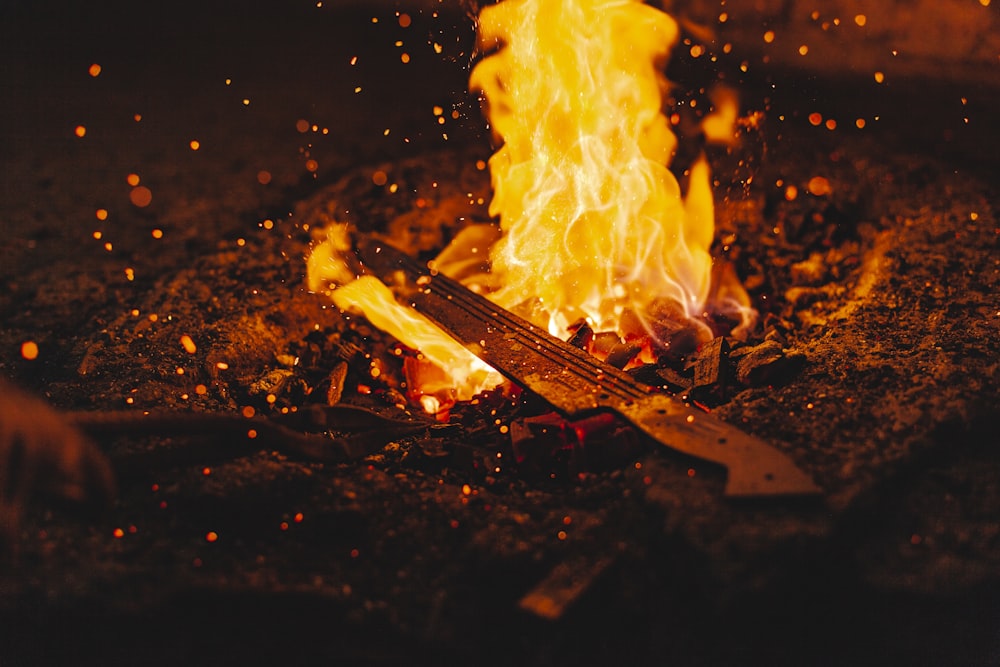 burning wood on fire pit