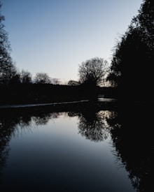 A serene landscape showing a calm body of water, reflecting silhouetted trees against a clear sky. The scene is minimal, with bare trees and still water enhancing a peaceful atmosphere.