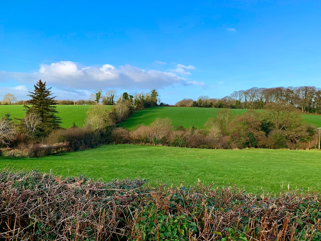 photo of Ramelton Hill near Grianan of Aileach