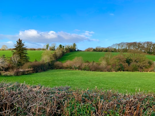 green grass field under blue sky during daytime in Ramelton Ireland