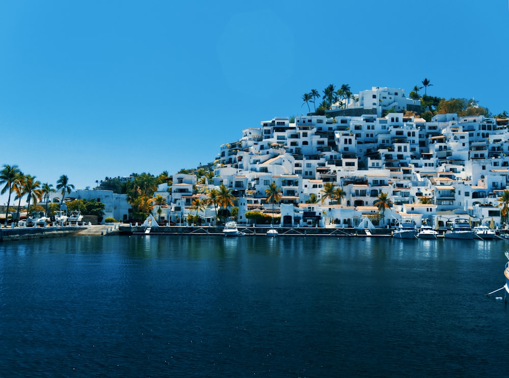 city buildings near body of water during daytime