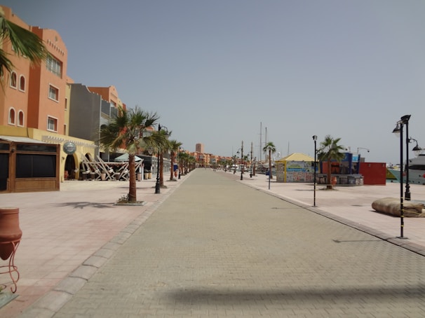A waterfront promenade with palm trees lining a paved walkway. Colorful buildings with Mediterranean architectural influences are on one side, while the other side features kiosks and views of moored sailboats. The area has street lamps adding an ornamental touch.