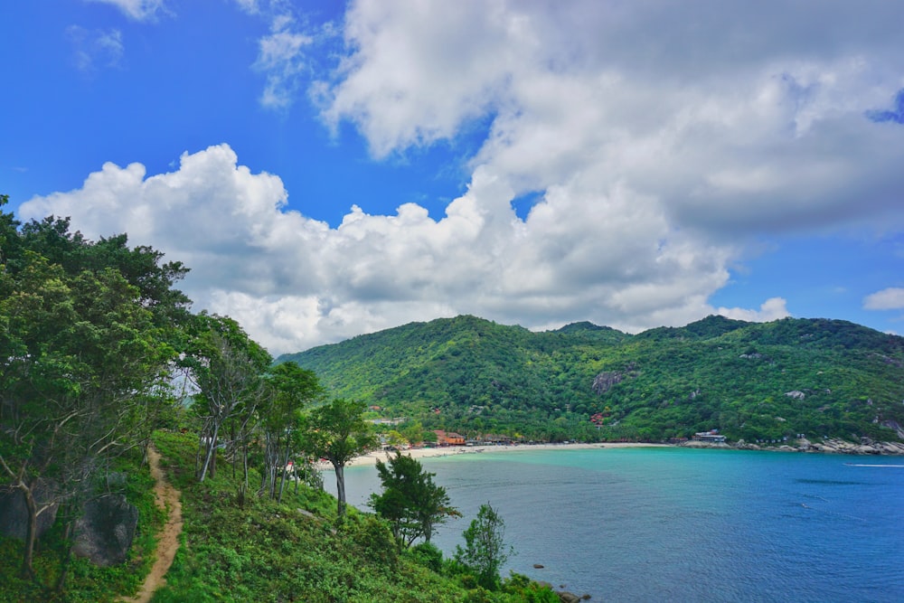 green trees near body of water under blue sky and white clouds during daytime