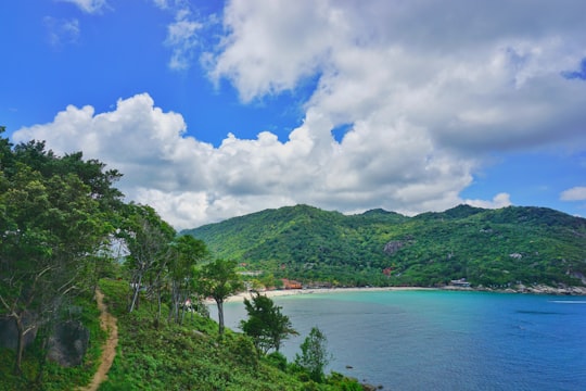 green trees near body of water under blue sky and white clouds during daytime in Koh Phangan Thailand