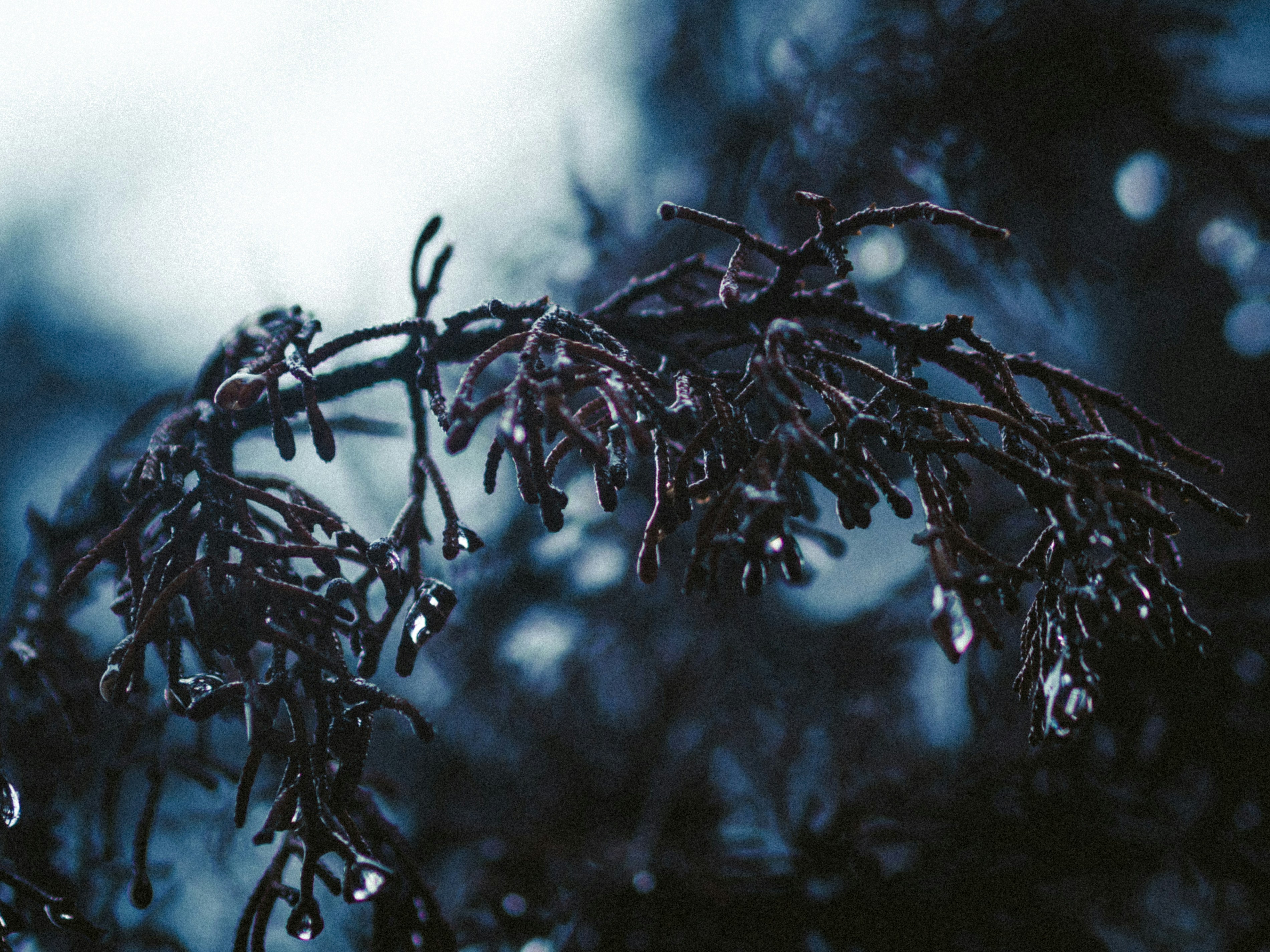 Photo by danieljimenez715