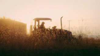 A farmer inspecting crops with a tractor in the background during golden hour.