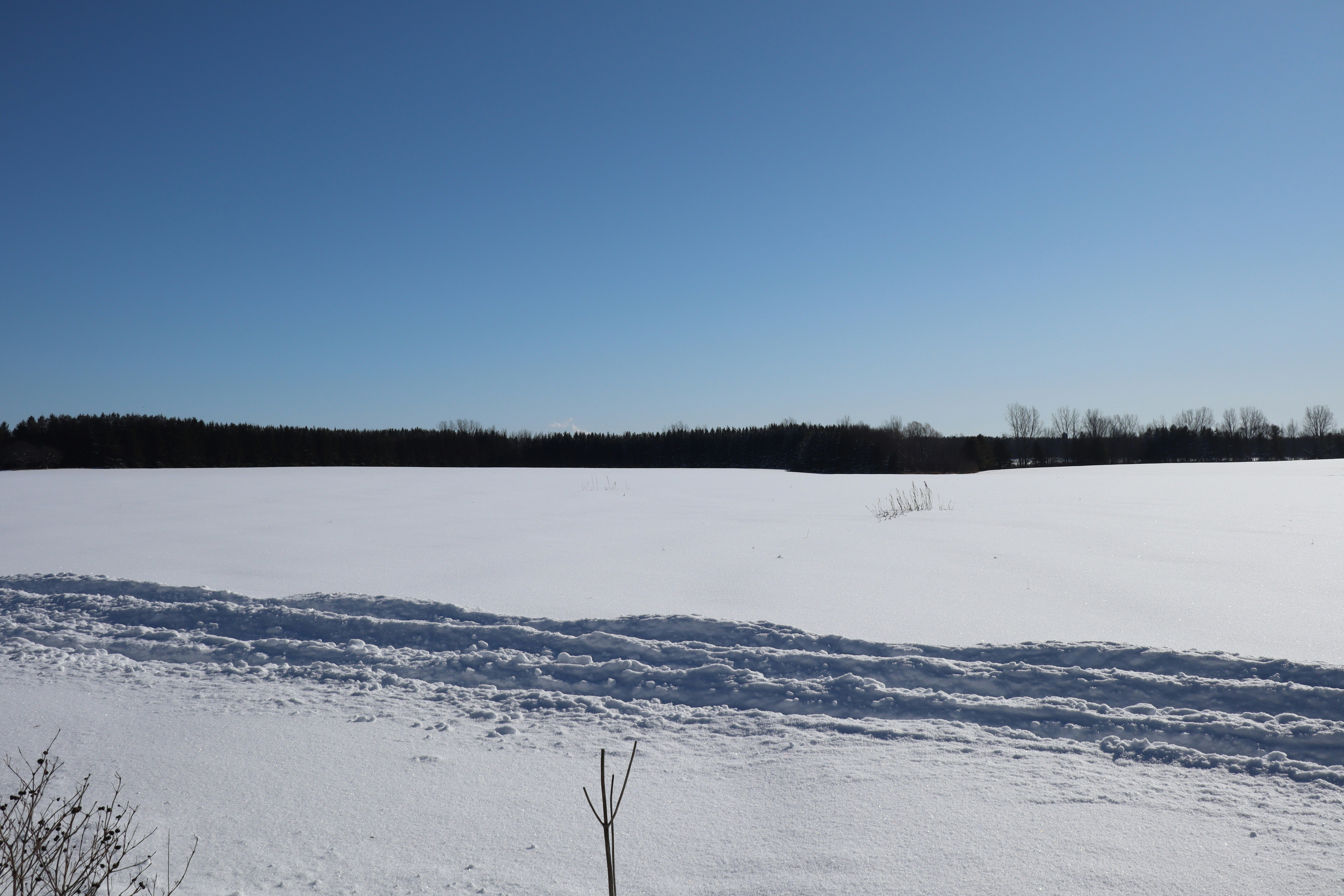 Photo by danreynolds