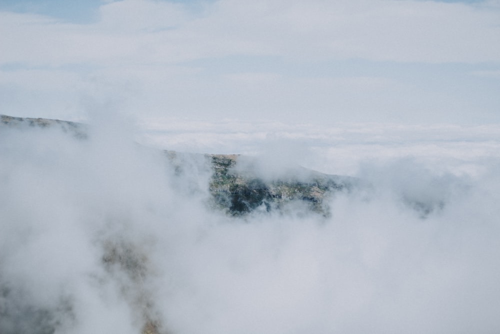 white clouds over green trees