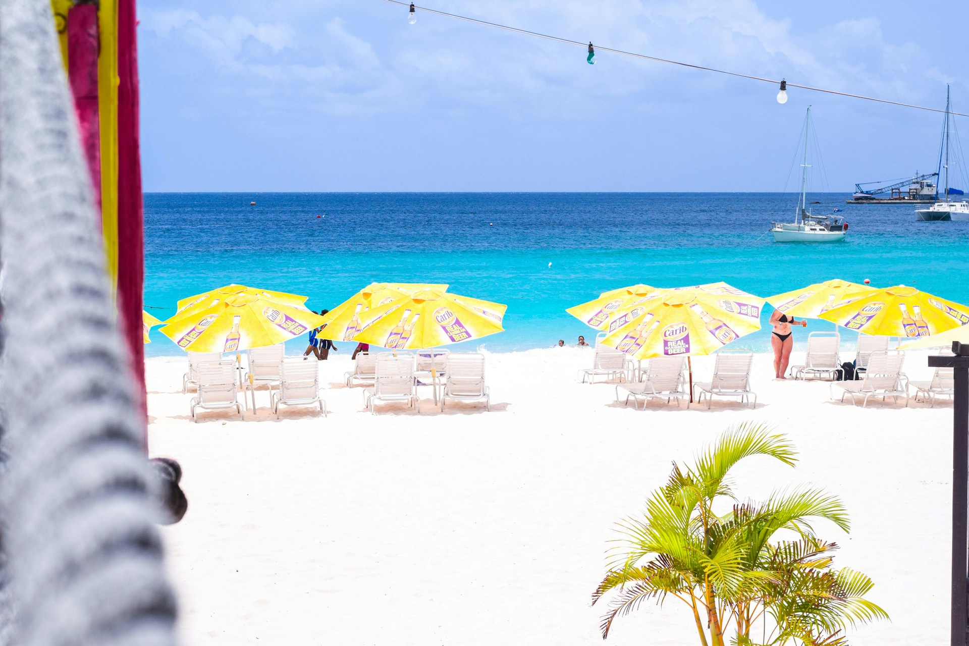 people on beach during daytime