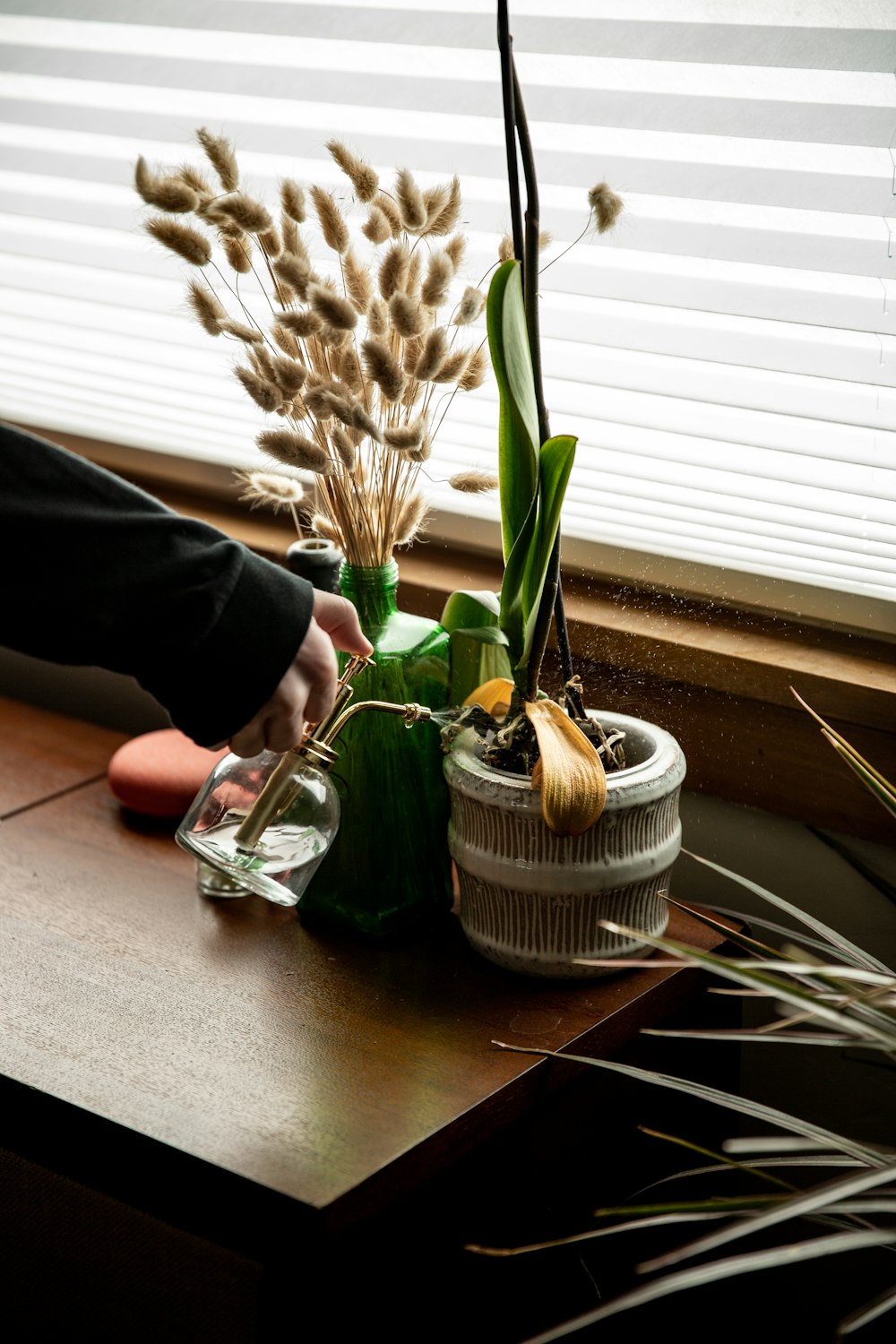 white flower on clear glass vase