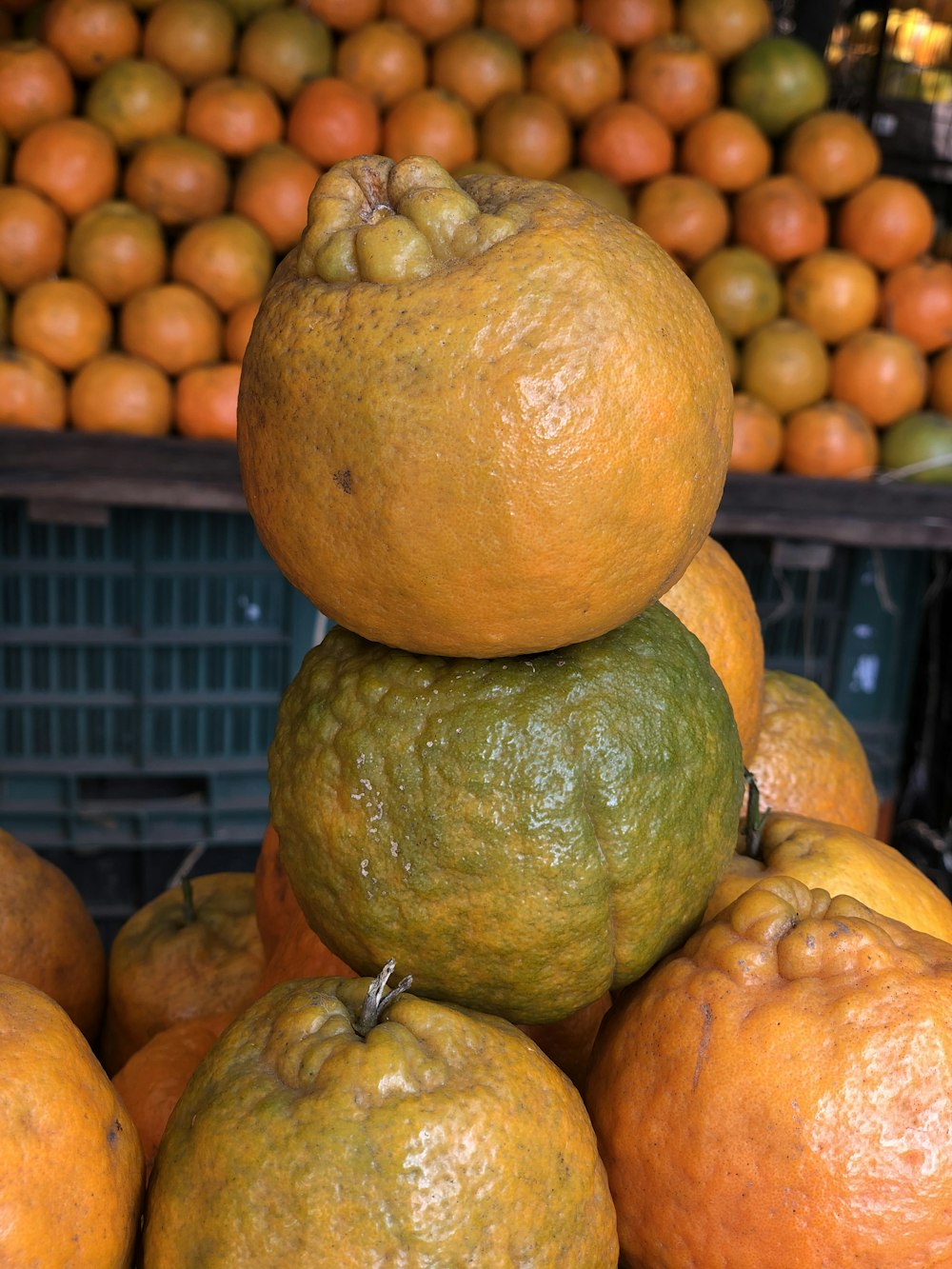 Orangefarbene Früchte auf schwarzem Metallgestell