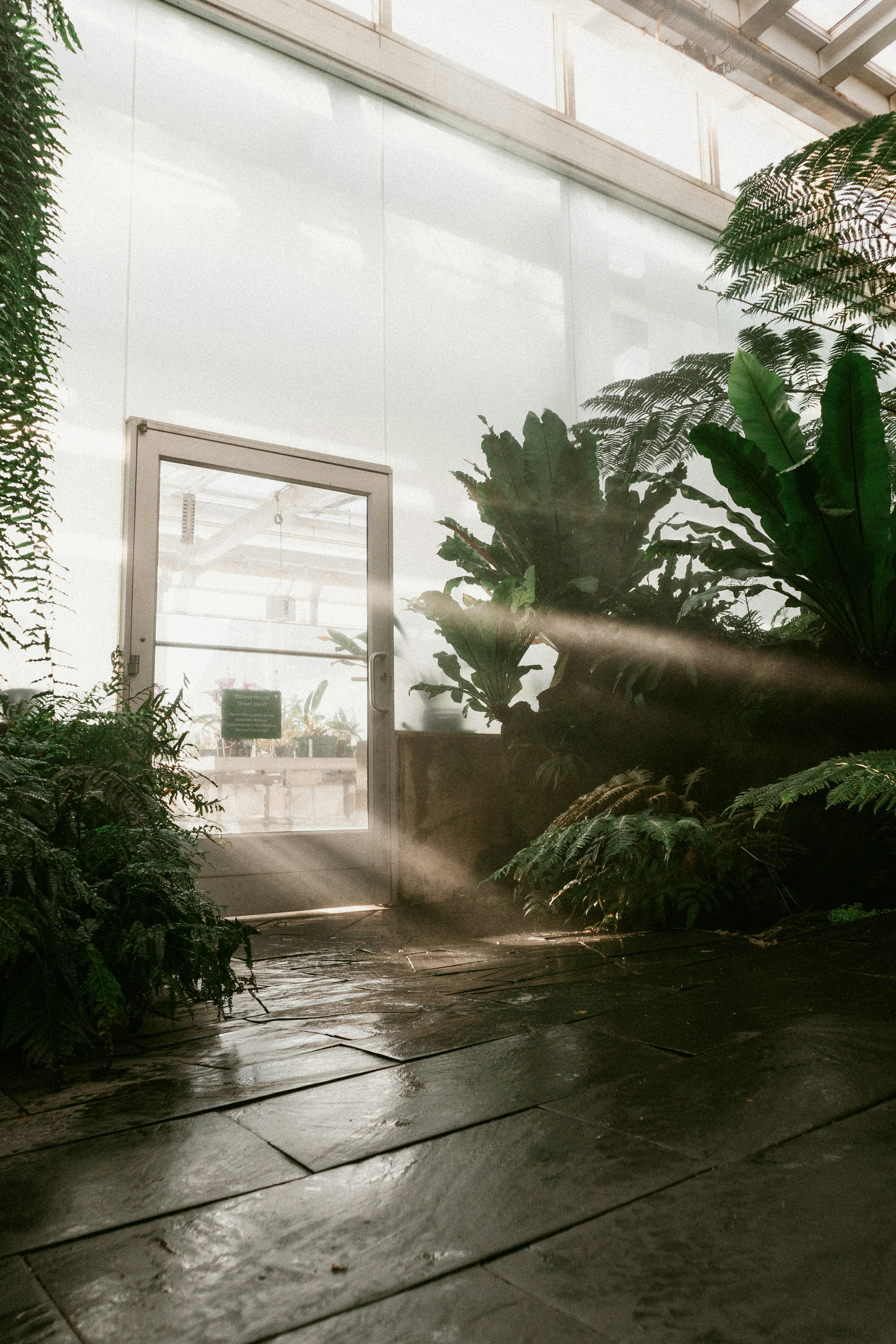 Photo by brandoncormier