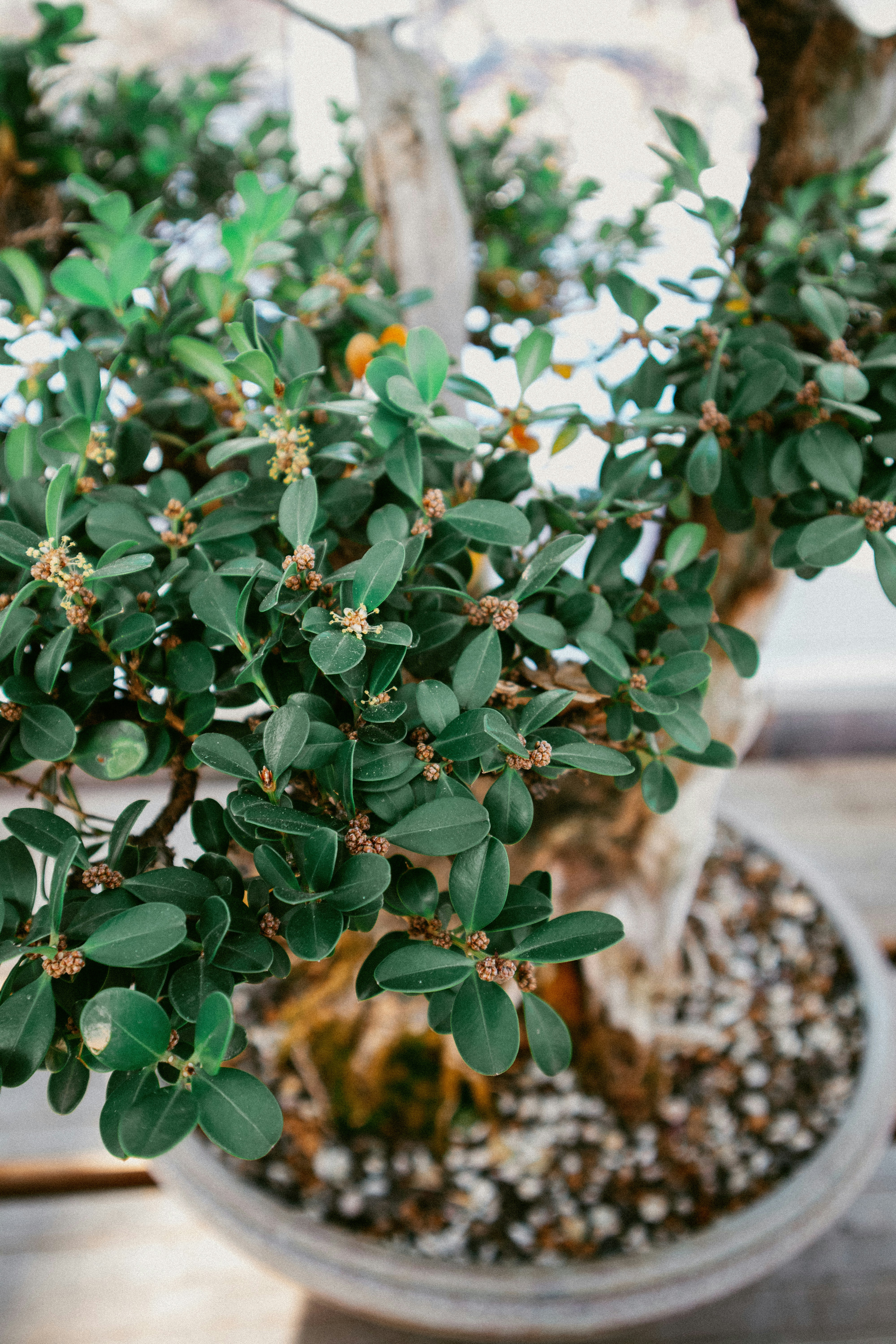 Photo by brandoncormier