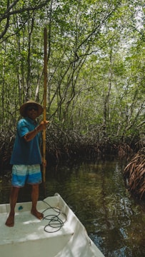 A person is standing on a small boat within a dense mangrove forest, holding a long pole. The surrounding area is lush with greenery from the mangrove trees, which cast reflections on the calm water.