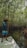 A happy customer standing near a mangrove.