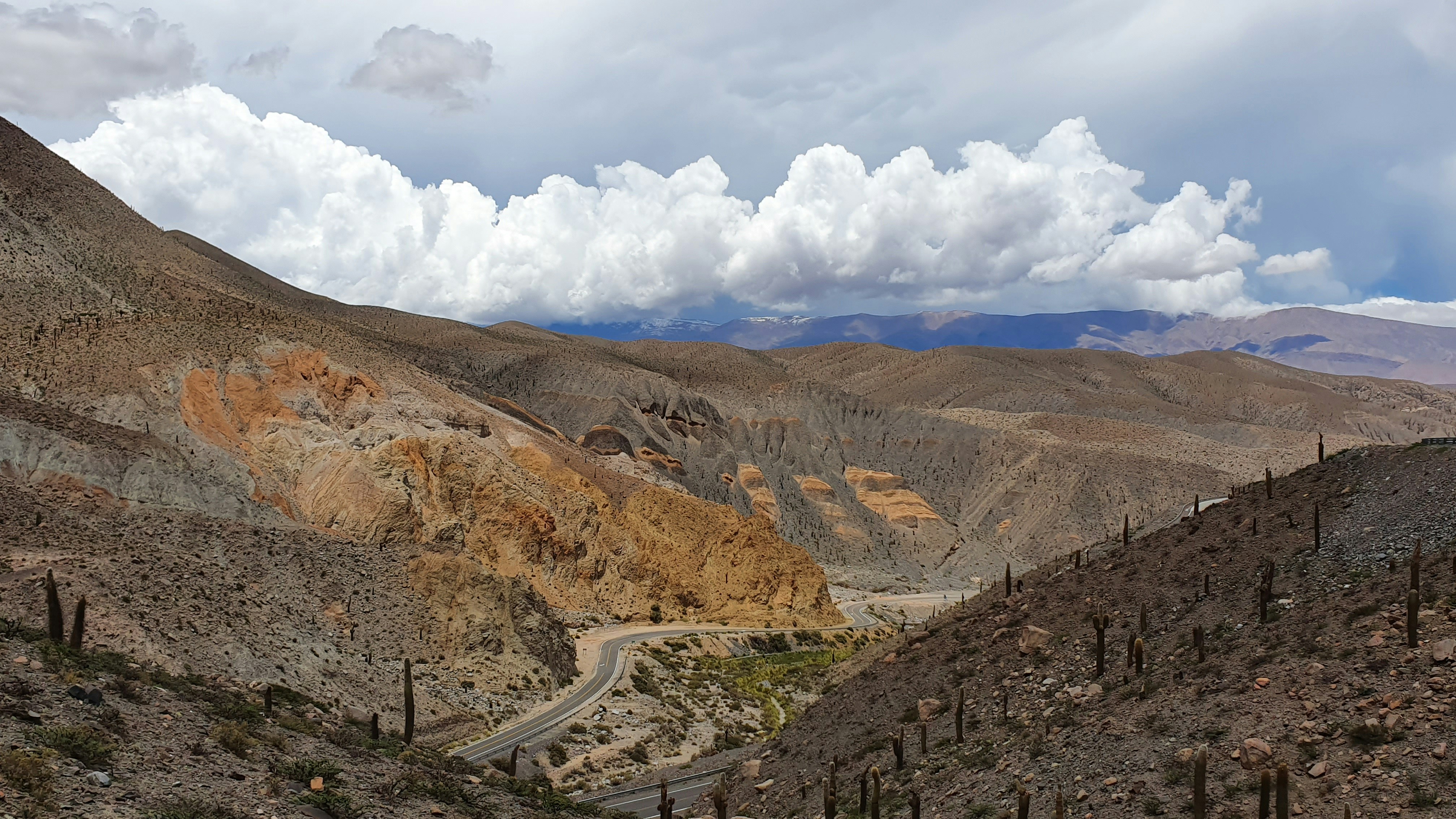 Photo by argentinanatural