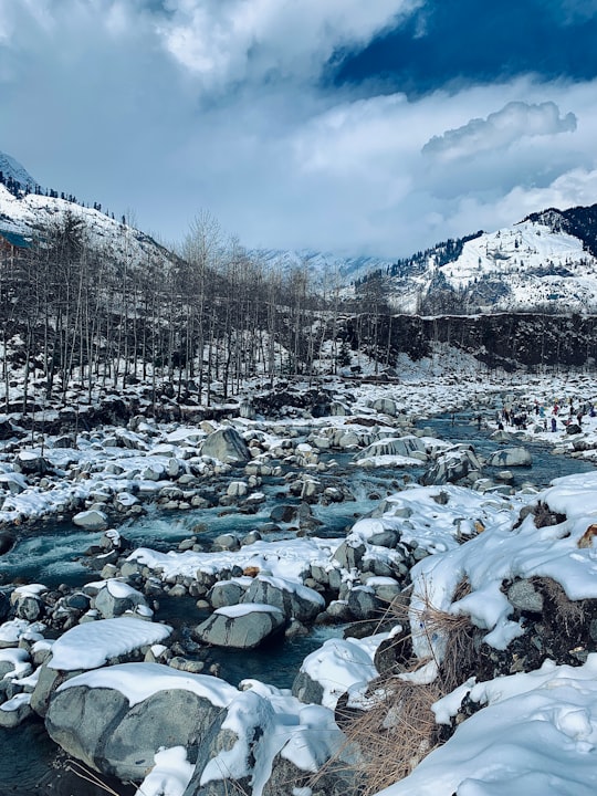 snow covered field and trees during daytime in Solang Valley India