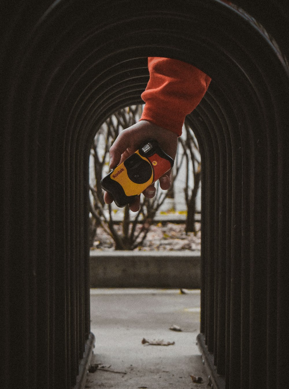 person in red long sleeve shirt holding yellow and black toy car