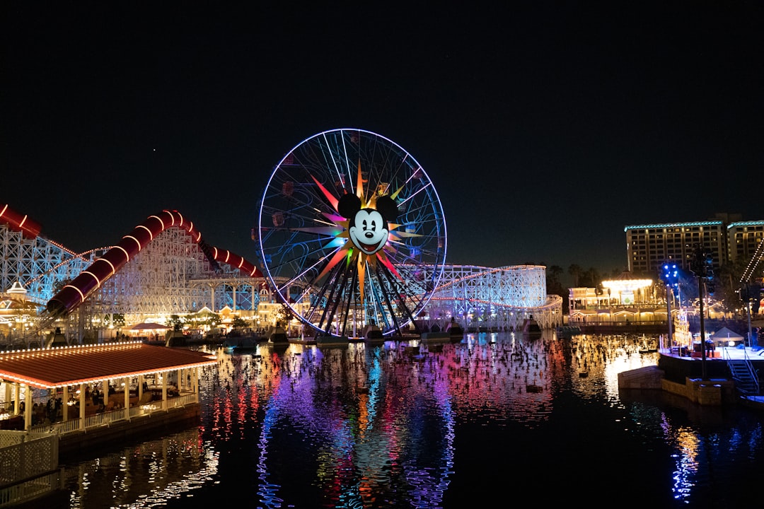 ferris wheel near body of water during night time