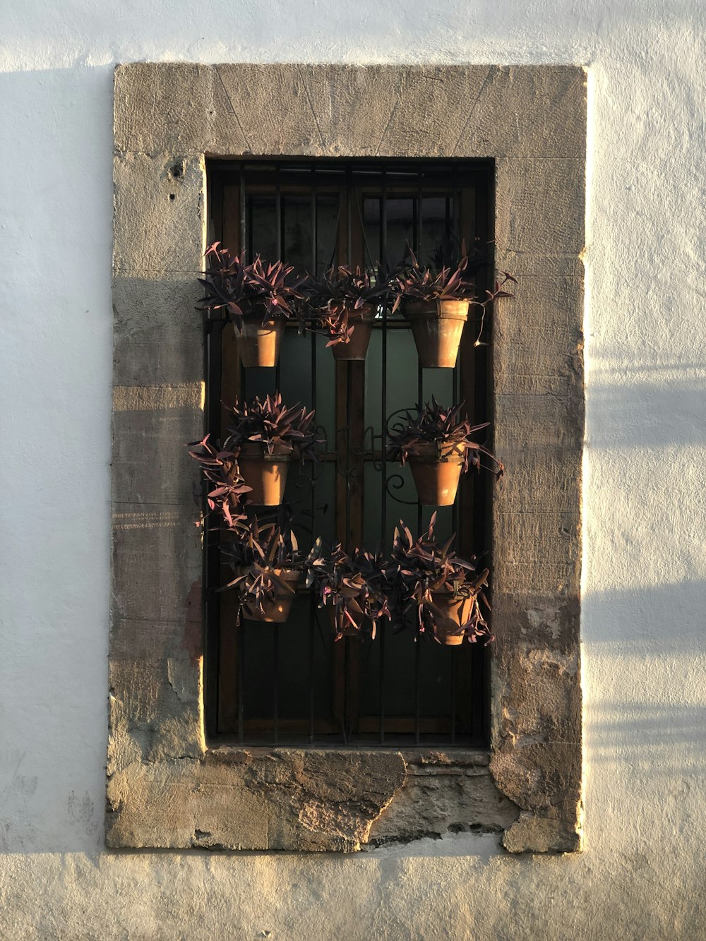 Puerta de madera marrón con macetas marrones